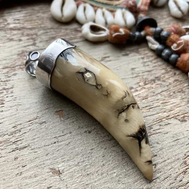 Vintage sterling silver petrified palm root tusk pendant