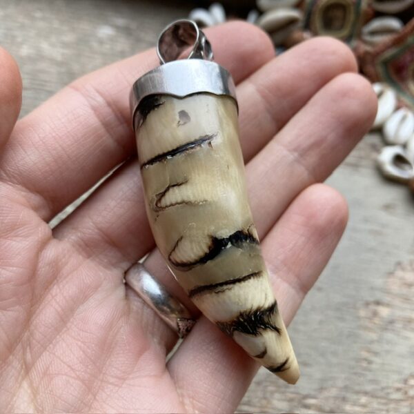 Vintage sterling silver petrified palm root tusk pendant