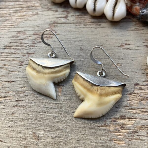 Vintage sterling silver shark tooth earrings