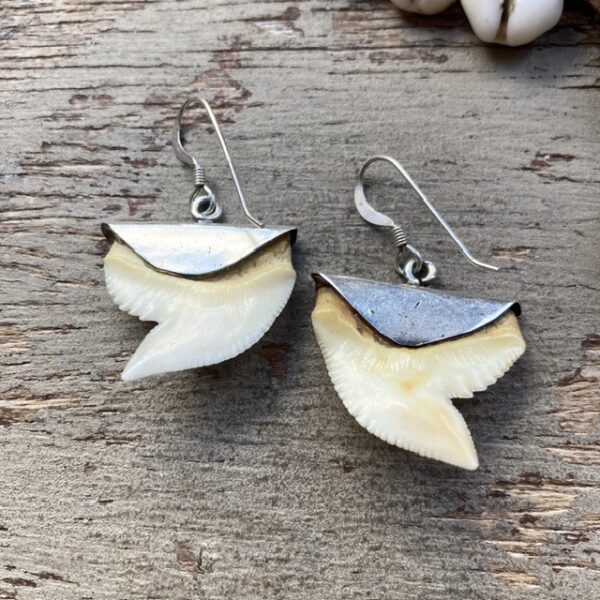 Vintage sterling silver shark tooth earrings