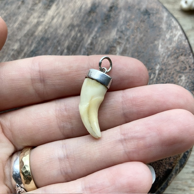 Vintage sterling silver tooth pendant