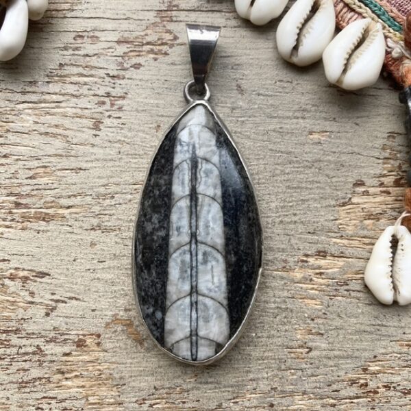 Vintage sterling silver Orthoceras fossil pendant