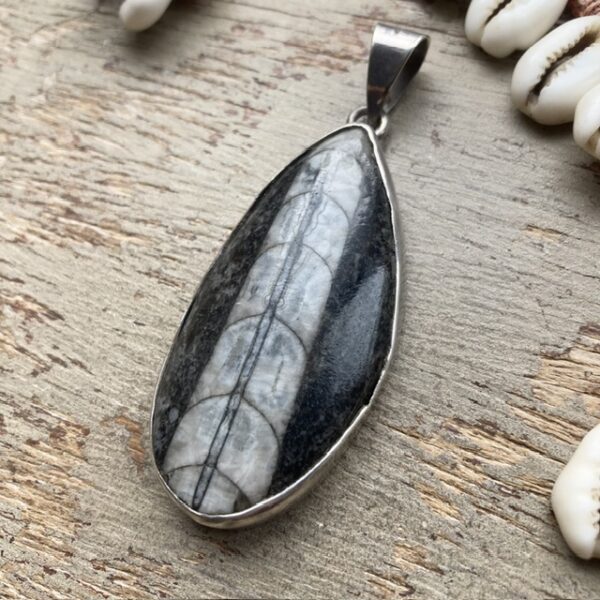 Vintage sterling silver Orthoceras fossil pendant