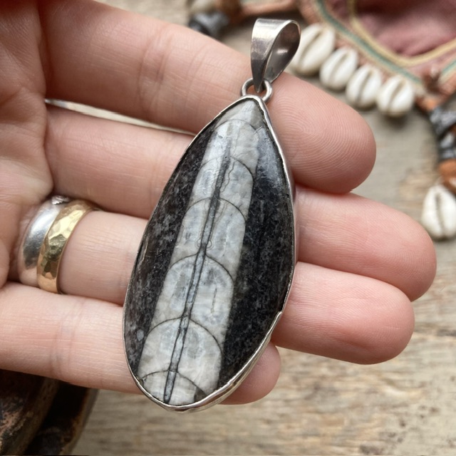 Vintage sterling silver Orthoceras fossil pendant